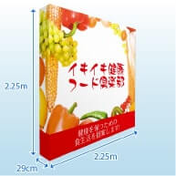 屋内用バックパネルDX2250イメージ