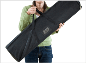 キャリーバッグ収納イメージ