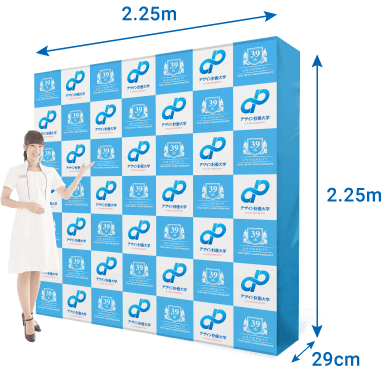 バックパネルDX2250 サイズイメージ