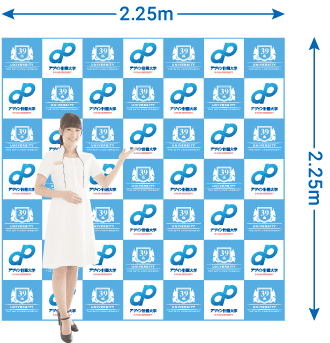 バックパネルSD2250 サイズイメージ