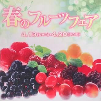 ポリエステル(昇華転写プリント)